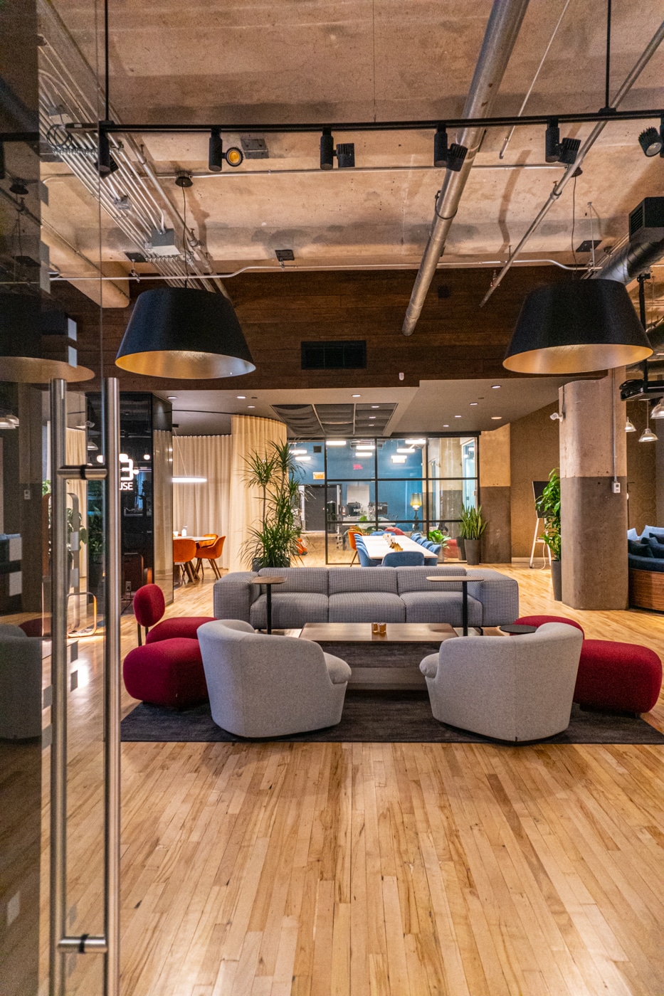 The C3 House: a modern, stylish lounge area about C3 Solutions with gray and red armchairs, wooden flooring, large black hanging lamps, lush plants, and glass walls allowing natural light to fill the space. C3 Solutions